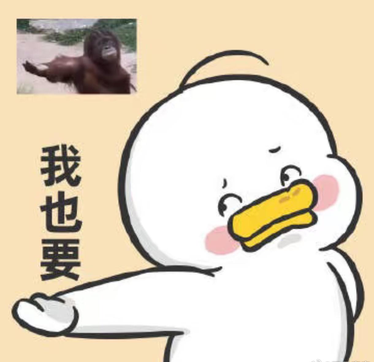 谁教你这样求财的从朋友圈到短视频平台，到处都是各种求财的小妙招，花样翻新的速度让