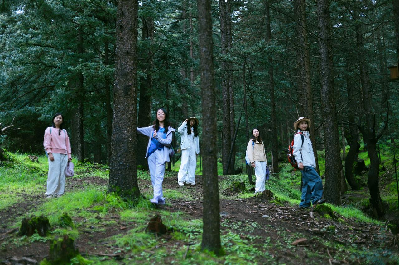 这个秋天你总得去一趟南寺吧 贺兰山