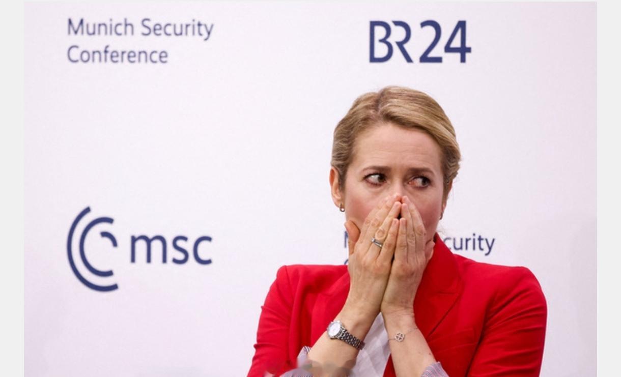 小泽折腾半天，最终北约进不去，欧盟也进不去了。
    欧盟外交与安全政策高级代