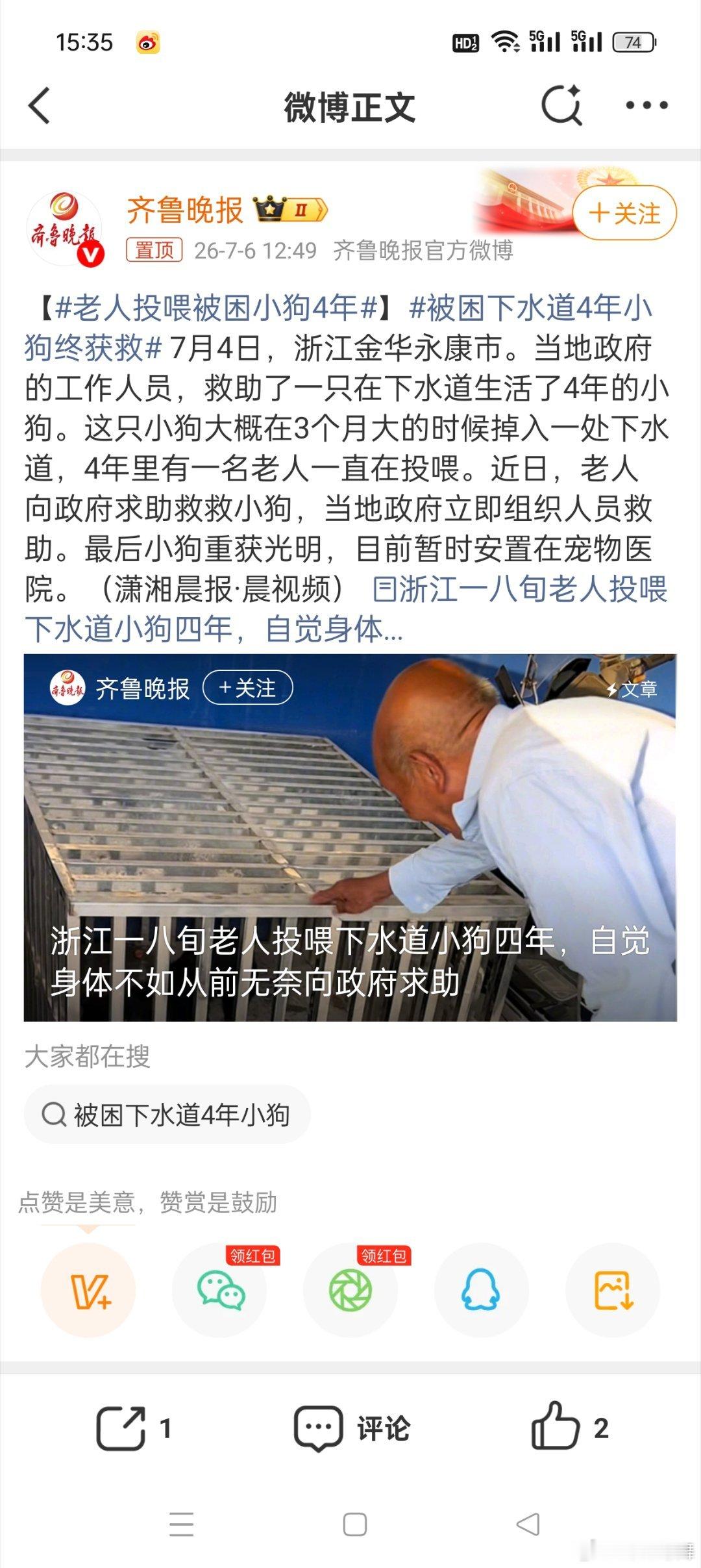 老人投喂被困小狗4年老爷子真的太善良了，投喂被困小狗4年这是多么大的善心，多么有
