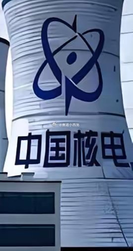 A股核电产业市值TOP101. 中国广核全球第三大核电运营商，在运机组数量行业领