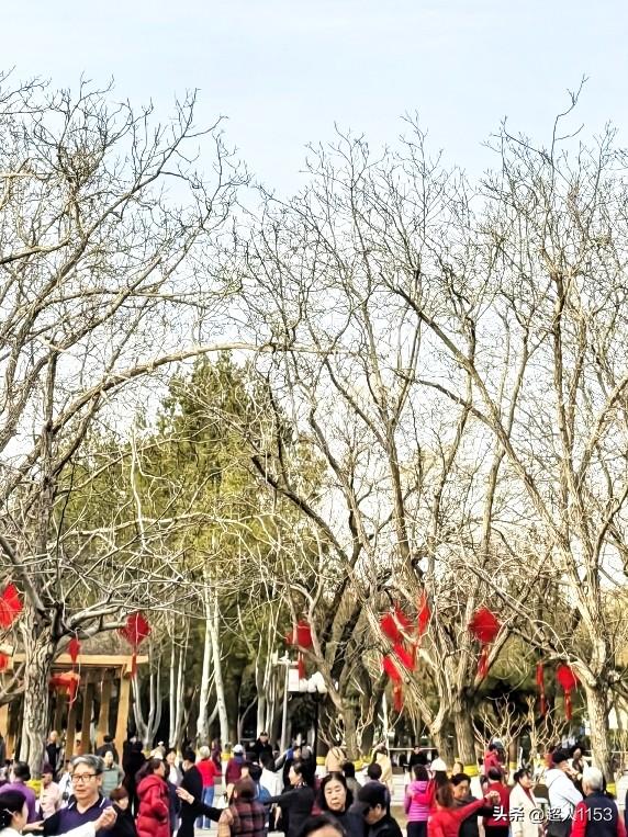 阳春三月风光好，
正是锻炼身体好时光。

昨天恰逢周日，
下午去了长安公园。
