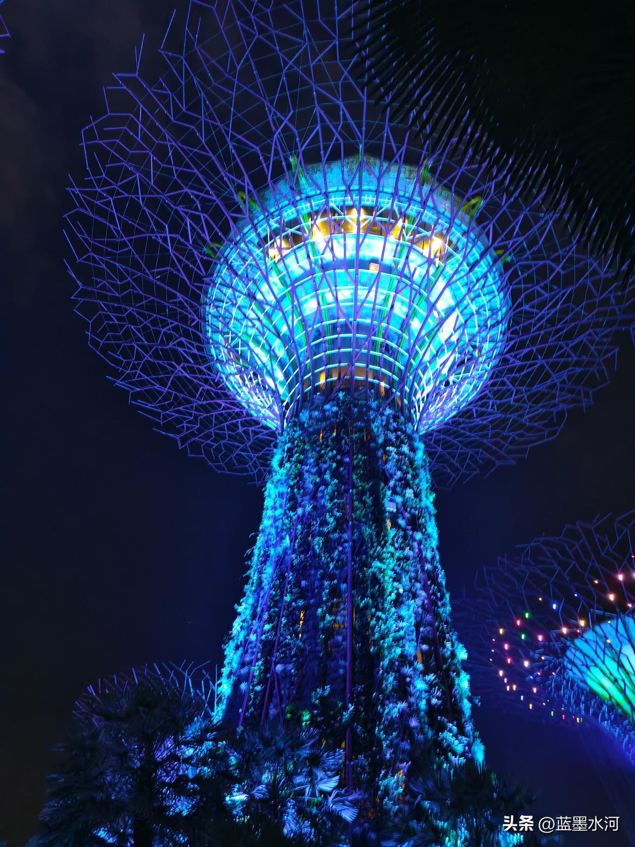 擎天大树灯火流转，
花园夜景璀璨动人。
滨海湾花园的夜景璀璨动人，擎天大树灯火流