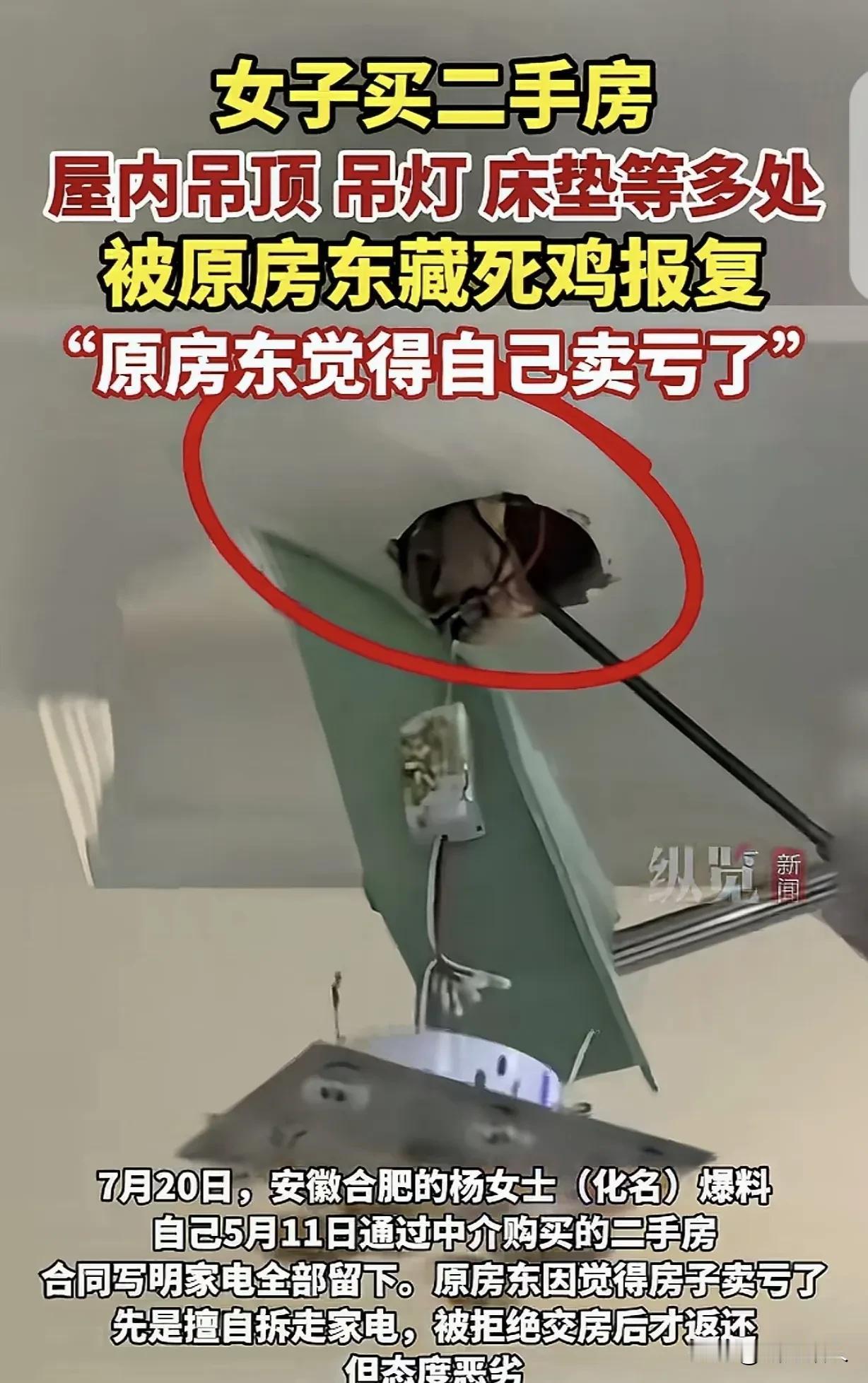 太离谱！合肥房主卖房觉得亏了，搬空家电被追回，竟塞死鸡吊顶内恶意报复买家。

 