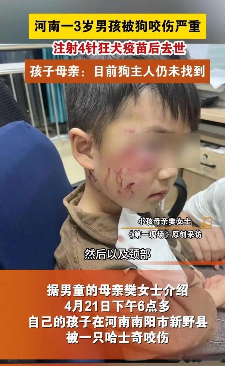 男子被狗咬伤4个月后狂犬病发死亡  捕杀流浪狗  流浪狗必须捕杀就这个道理！[顶