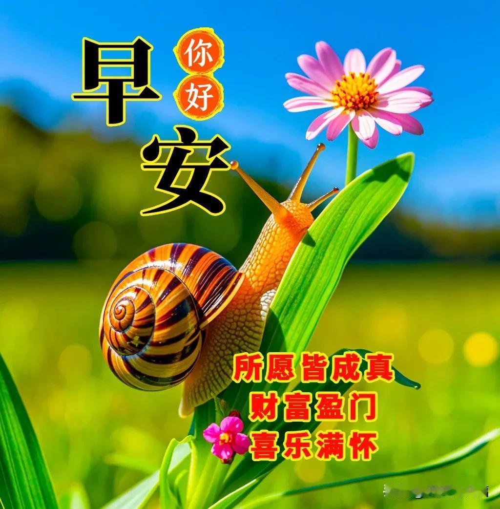 2月15日早晨甜美祝福：岁岁如意，年年好运。一路安康，一路欢畅。

正月十八，一