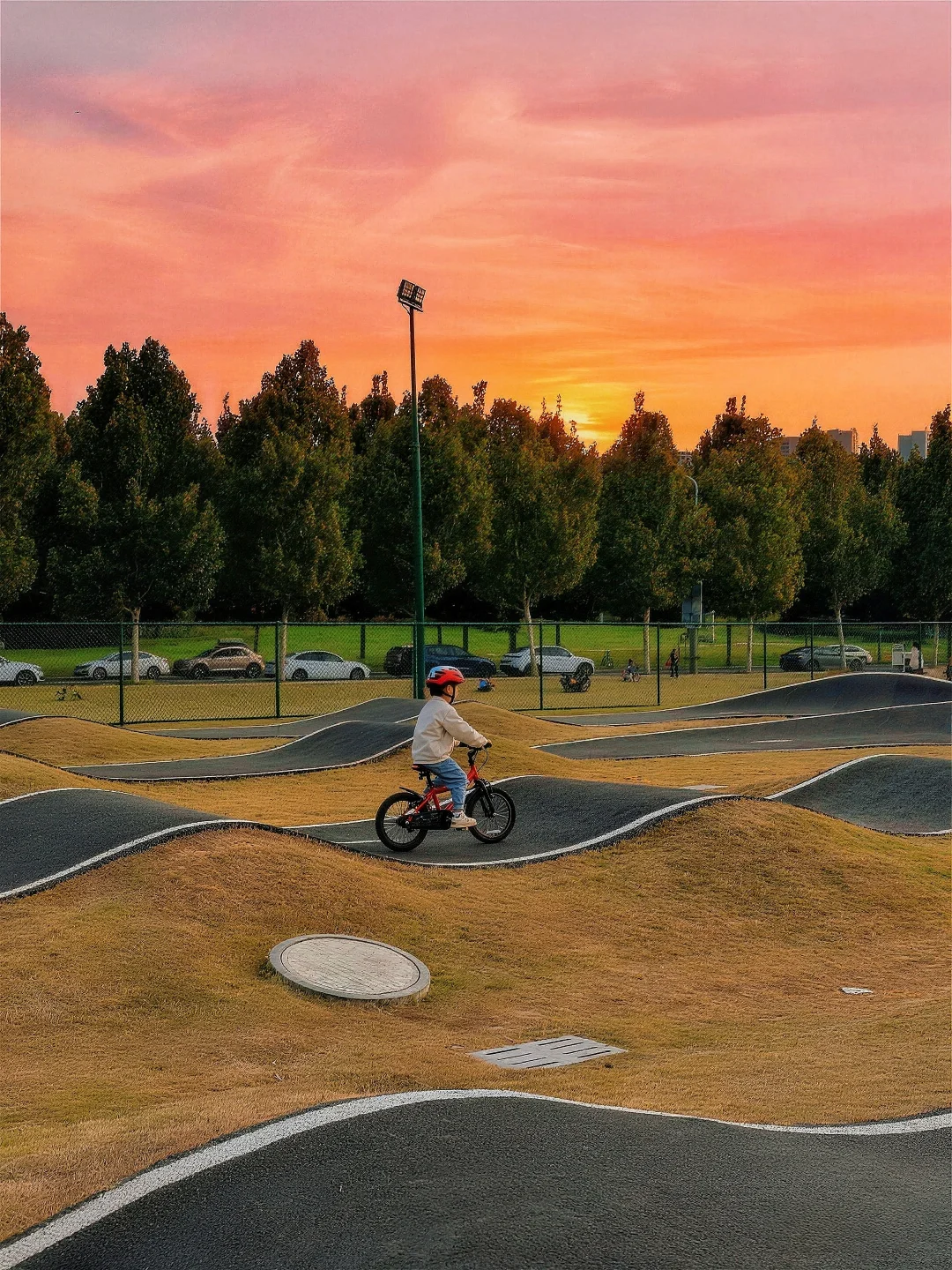 江心洲的秋天🍂都被这场影像展定格啦📷