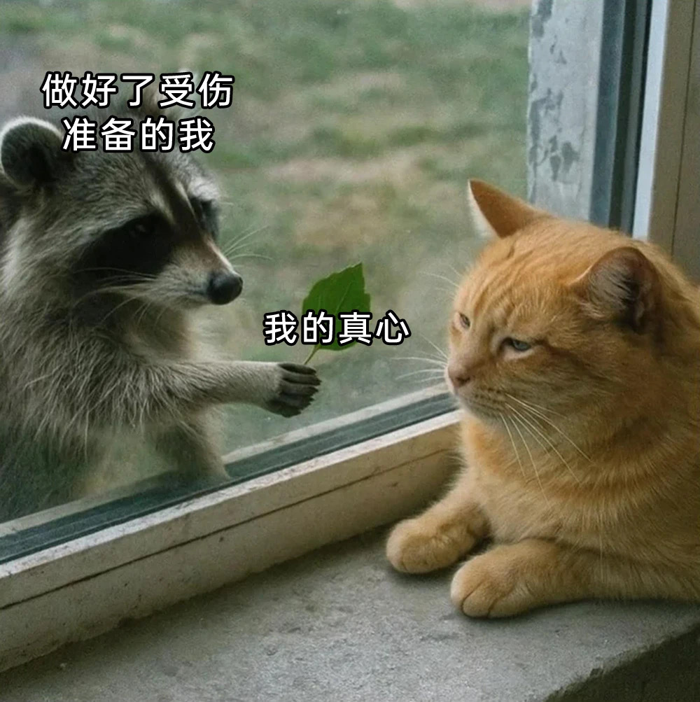 你慢点伤 ​​​