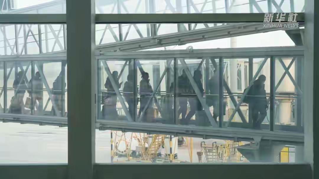 熊猫游的热度依旧很高！免签政策不断带来好处，海外游客们都想着来熊猫国尝尝地道美食