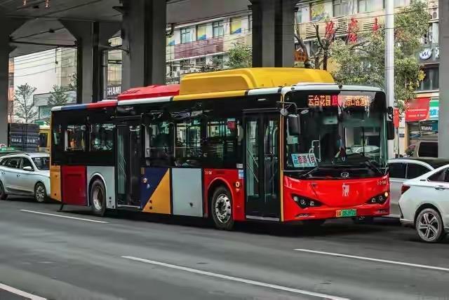 这才是真“豪车”！湖北黄冈这场婚礼，看完心里暖呼呼的。
新郎柯江钰骑着电动车，载