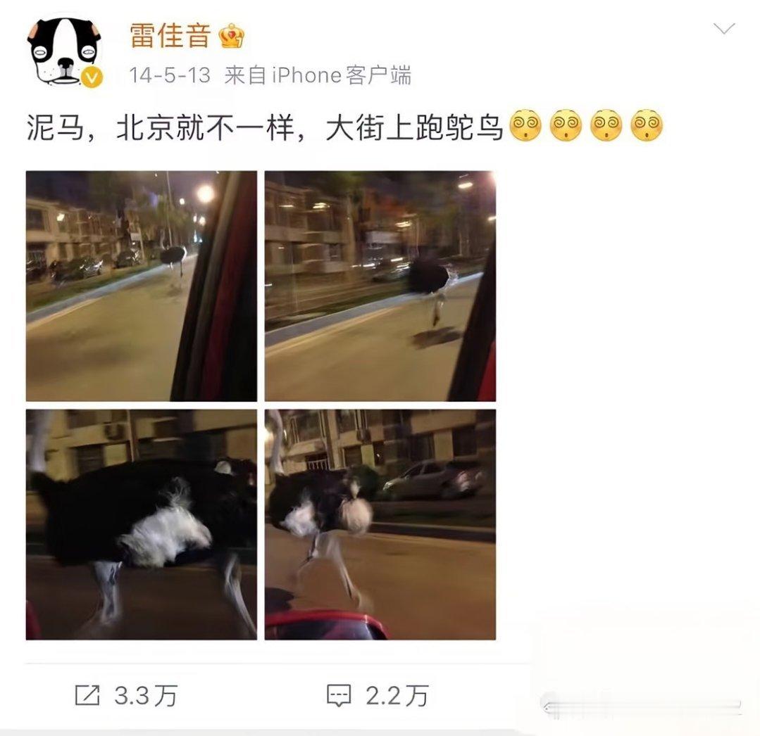 看一次笑一次 ​​​