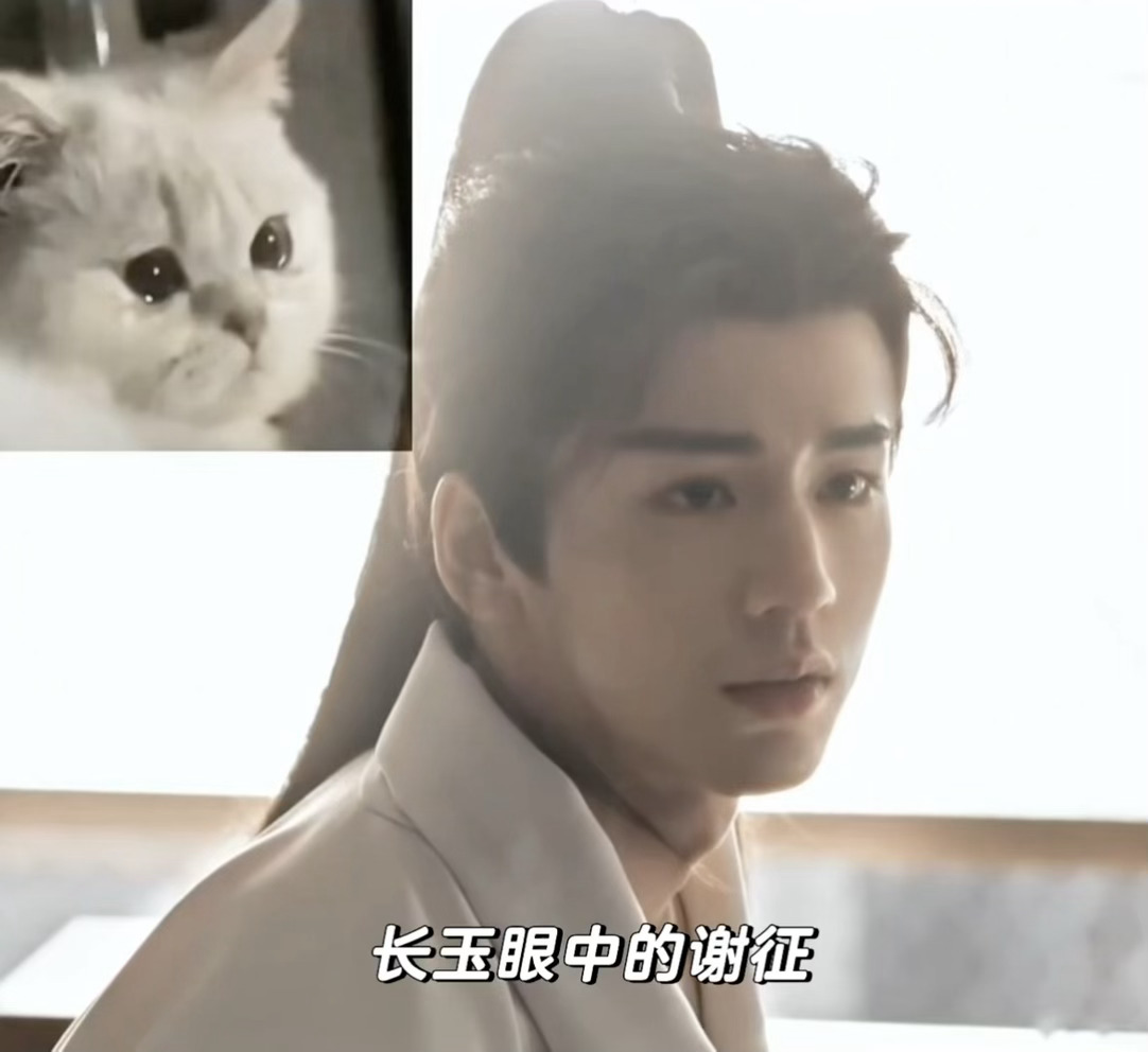 不同人眼中的谢征长公主：丧彪 原来你叫咪咪啊逐玉官方逐玉