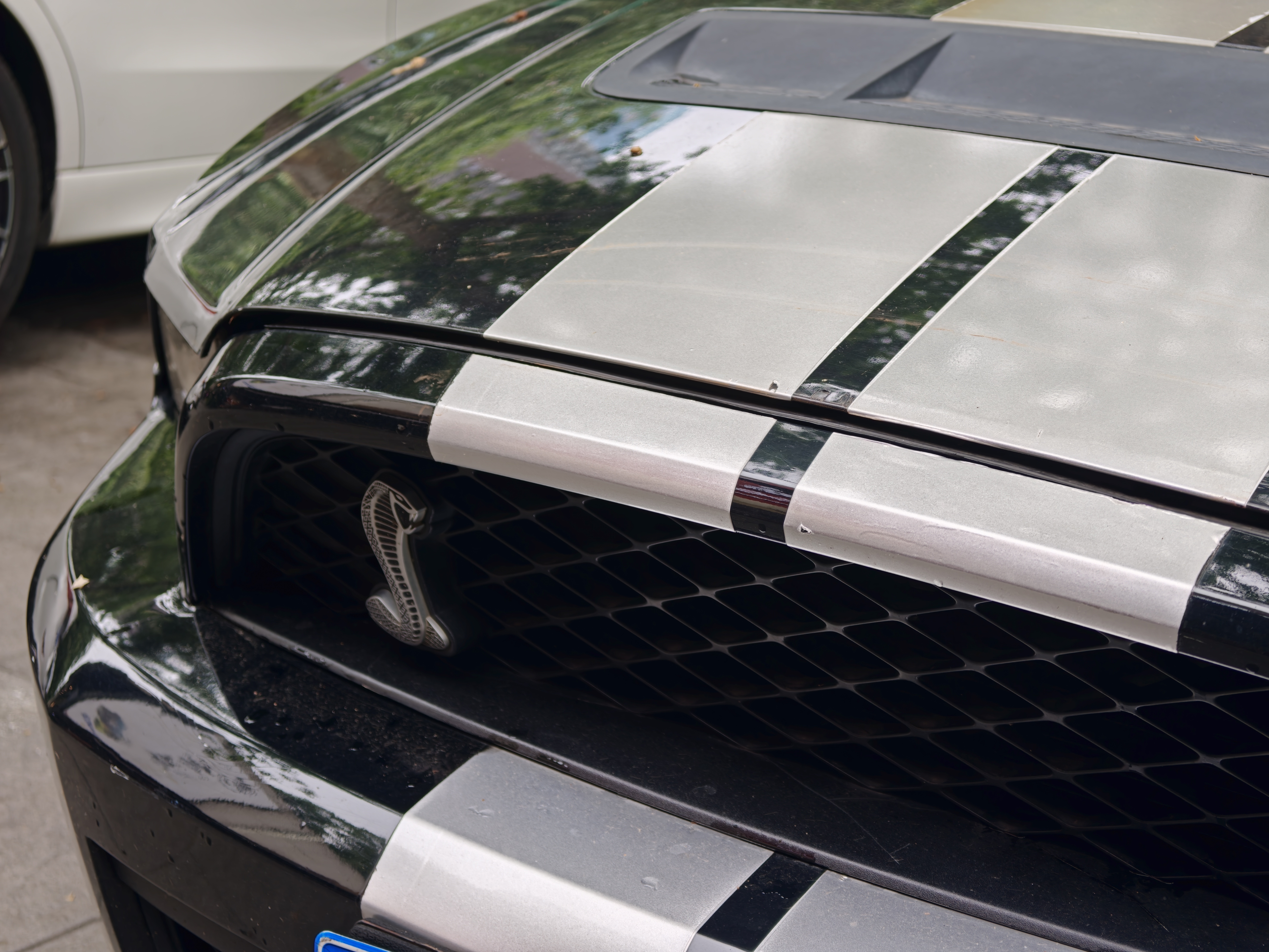 这是Shelby GT500么？咋看着一点猛劲儿都木有。