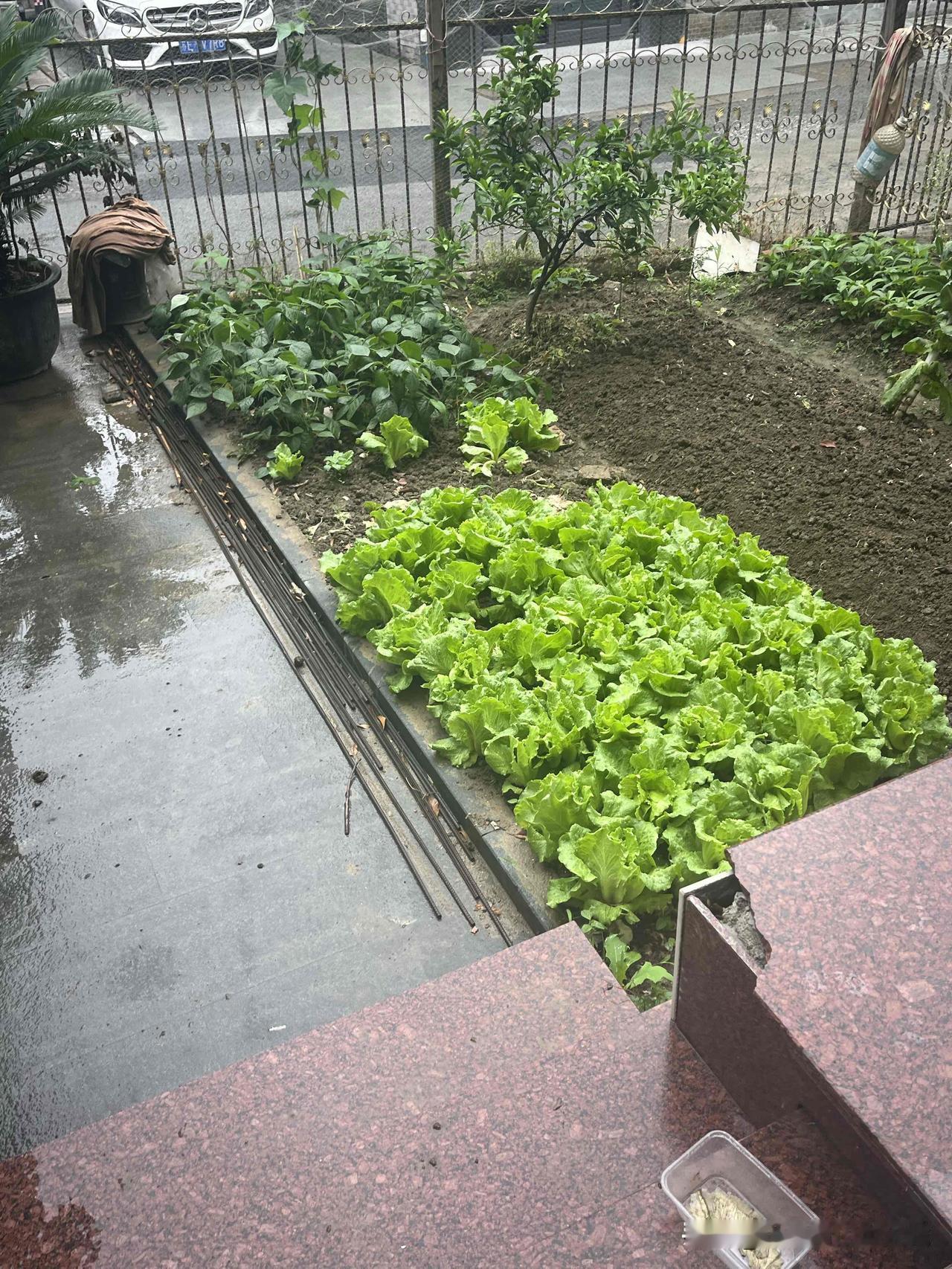 前些天的难言之隐。[捂脸]

5月3日那晚，因为上月大多站着，感觉有些累，确切地