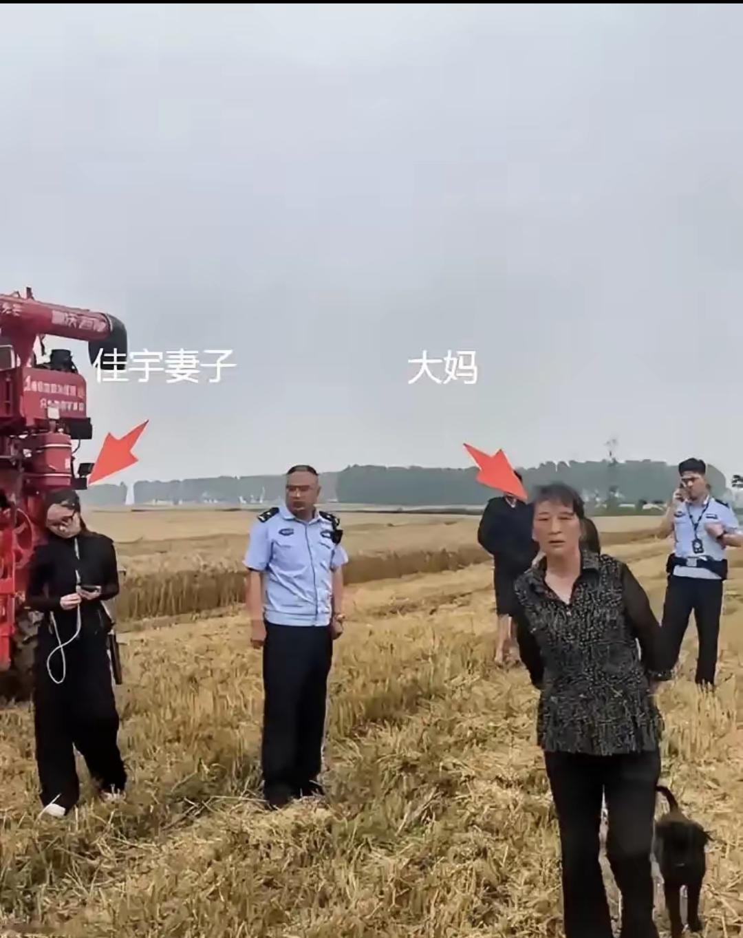 河南一对95后小夫妻为帮襄阳农户抢收小麦，开着农机千里救粮，谁知谈妥收割4亩地给