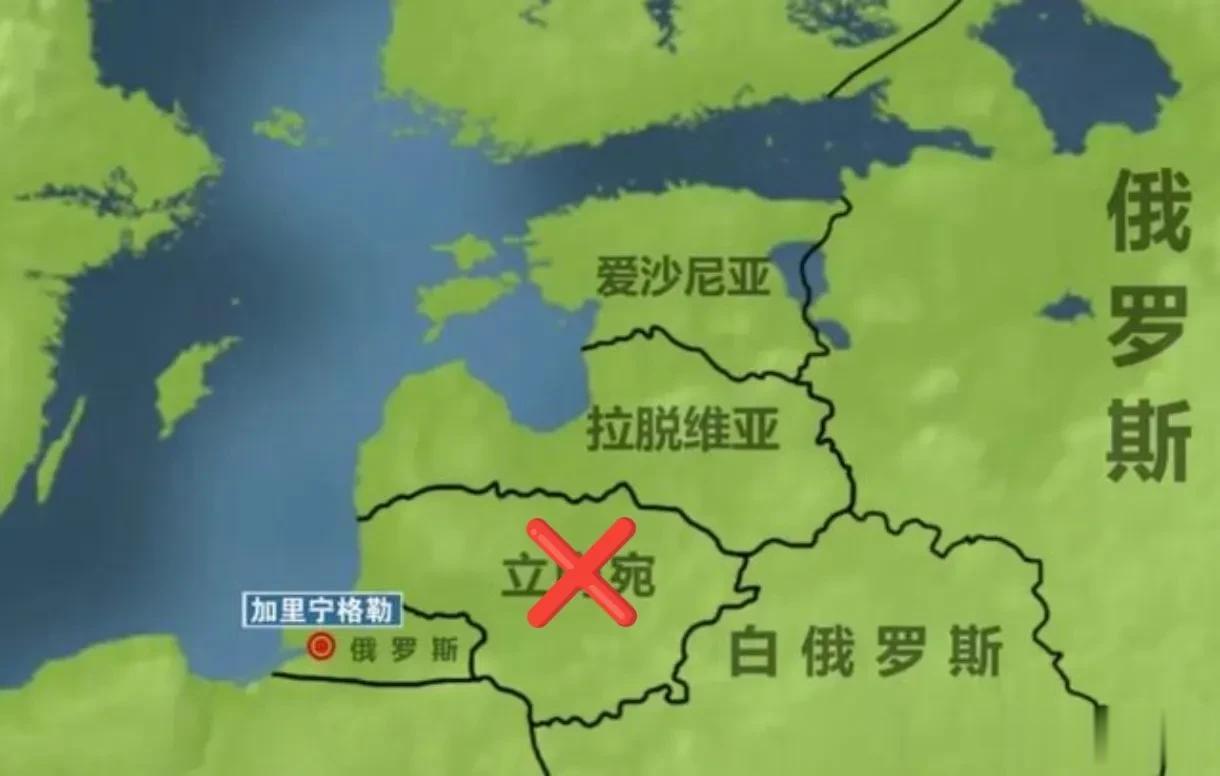 立陶宛终于迎来了俄罗斯的裁决！
       7月23日，俄罗斯国家杜马通过议案