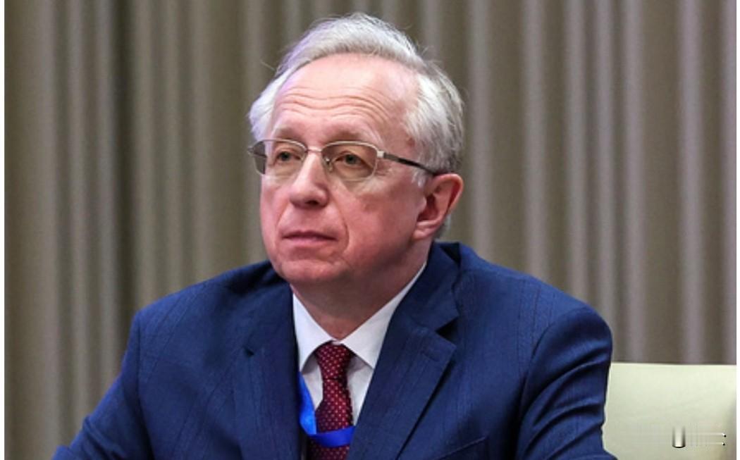 俄方将暂停军事打击

据塔斯社2月15日报道，俄罗斯副外长加里金在接受该社采访时