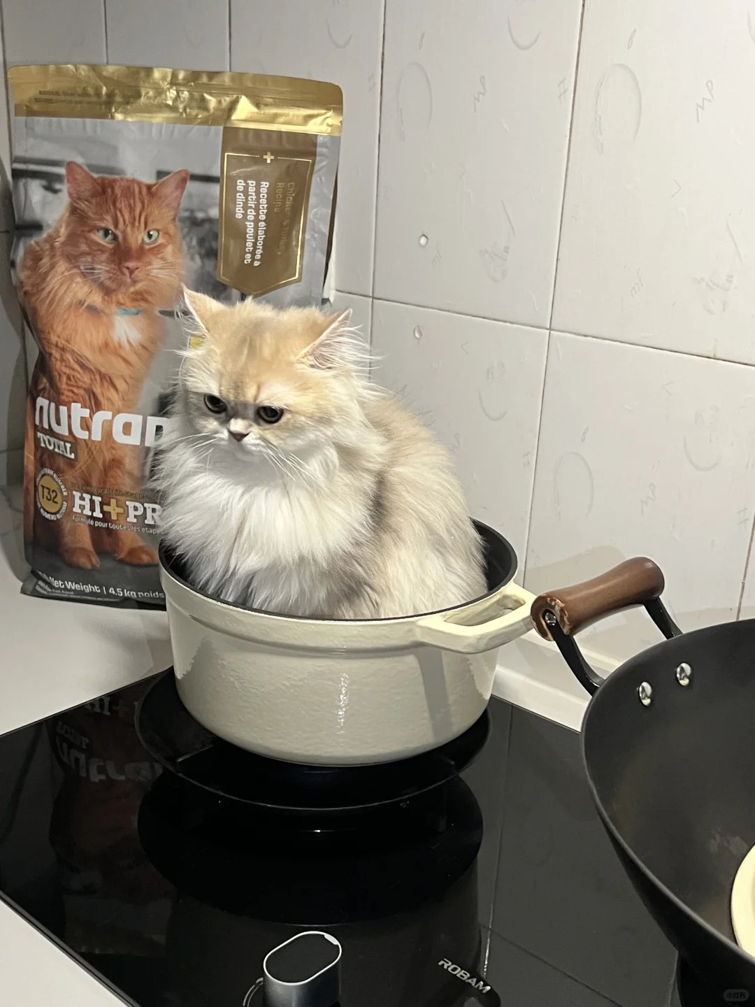 你不让我吃饭，我就占你锅😤