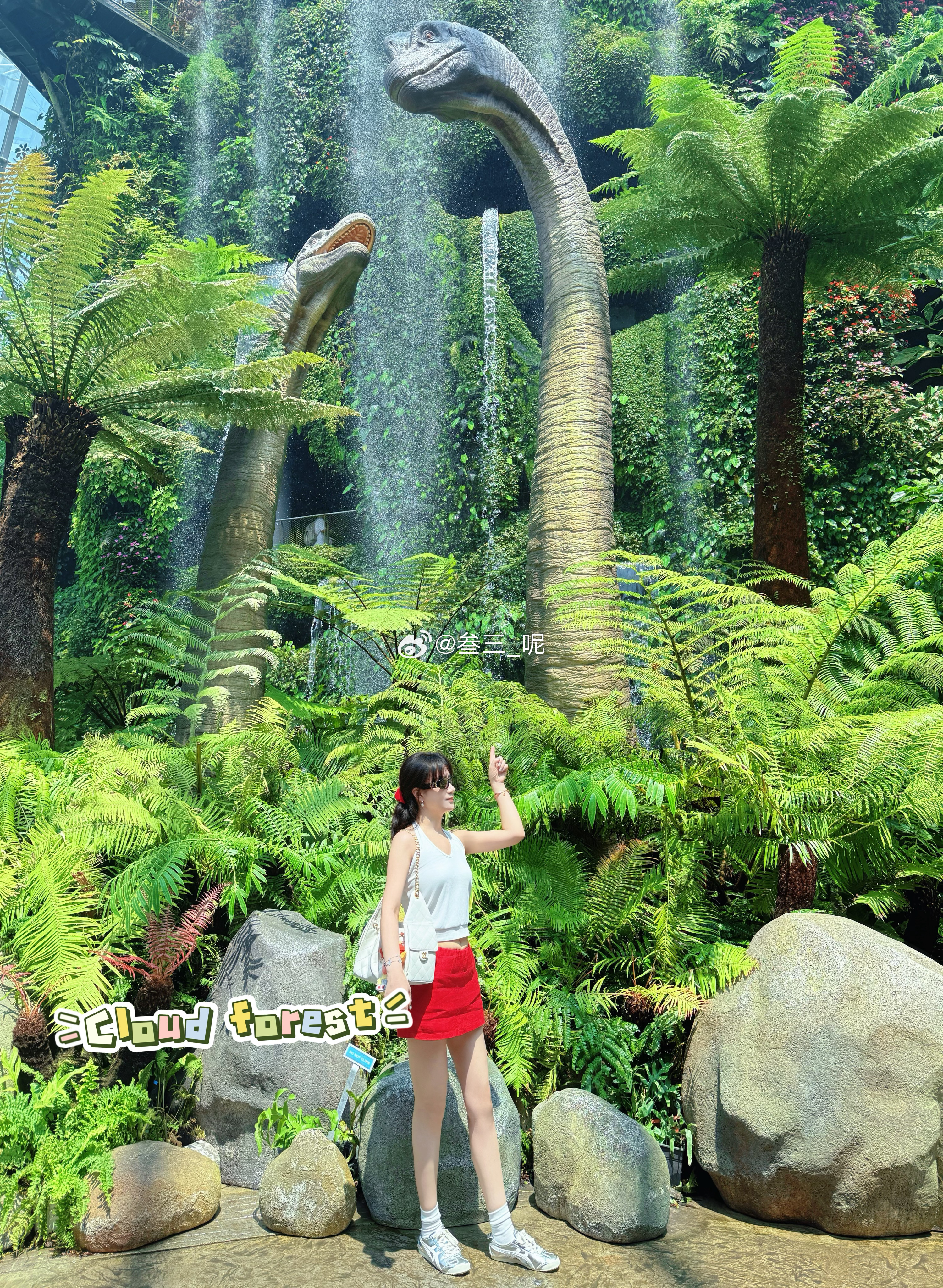 夏天永不落幕🌳🌴🏝️🏖️ 