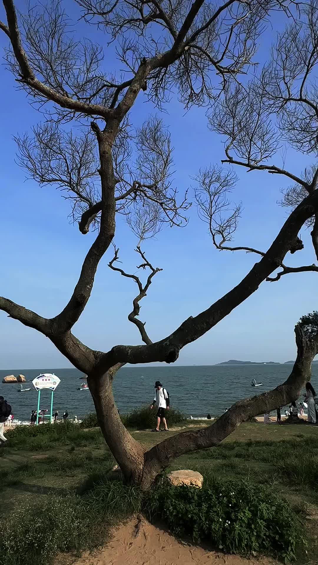 我不再用力走向任何人