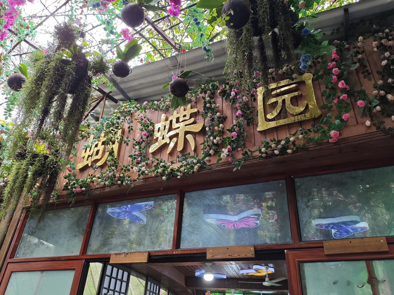 江城子28·西双版纳蝴蝶园
藤萝绕木缀花墙。
彩丝长，蝶深藏。
暖苑风轻，振翅过