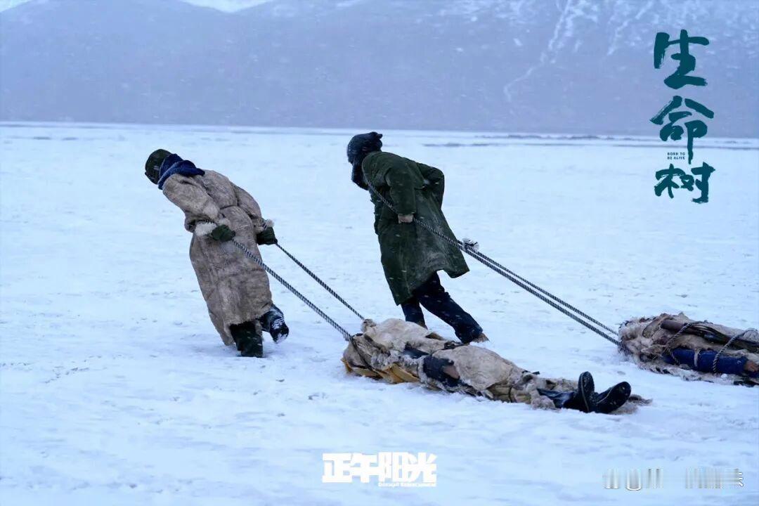 也许白菊还是太急于证明自己了，依旧如此逞强。
《生命树》第十三集，看得人揪心不已