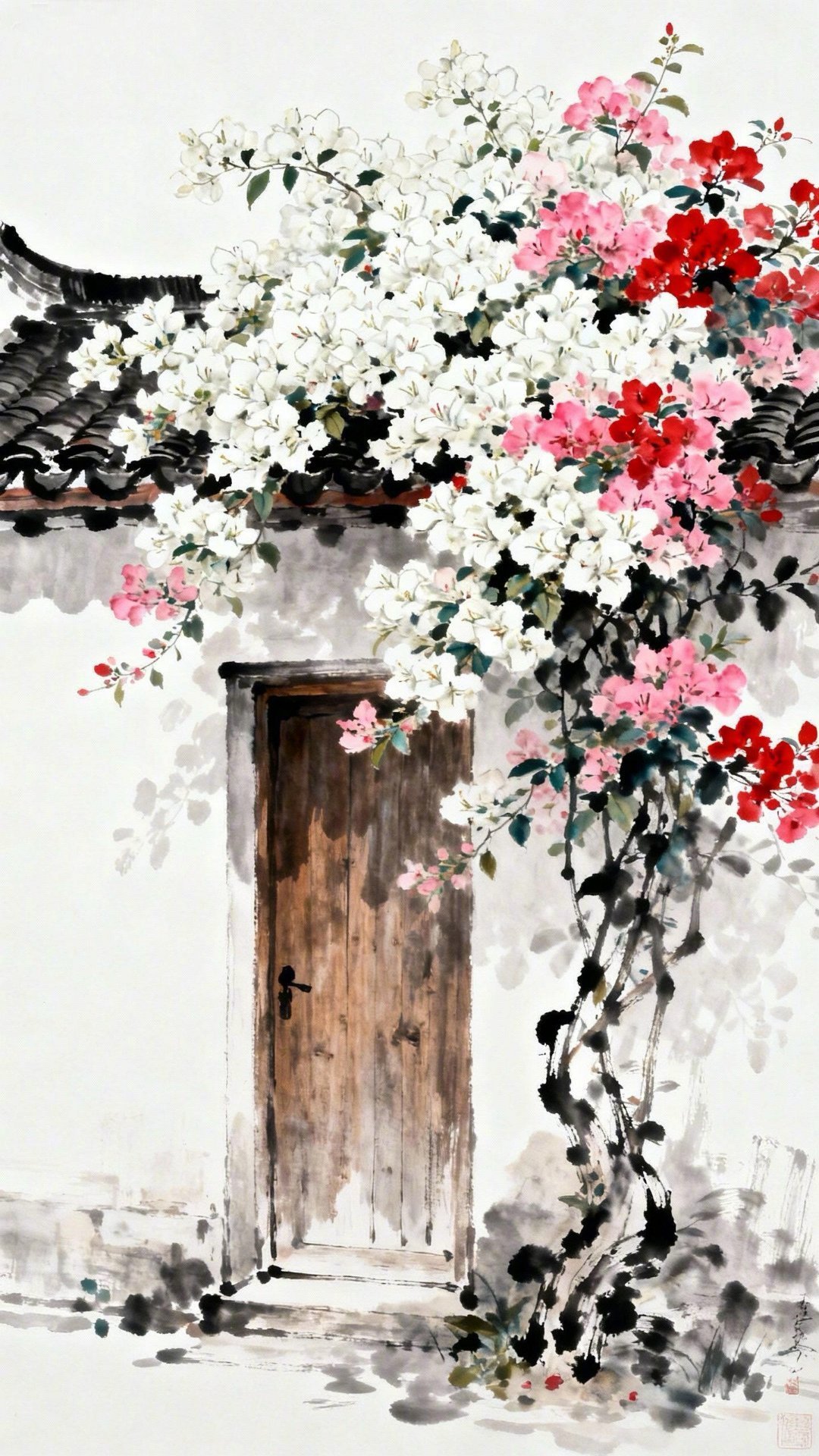 屋檐墙边处，三角梅正浓。 