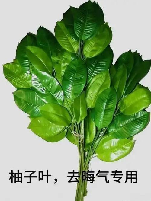 不知道的，今天还以为赵丽颖四提白玉兰了，毕竟今天这么多热s虽然全是黑的！热度还要