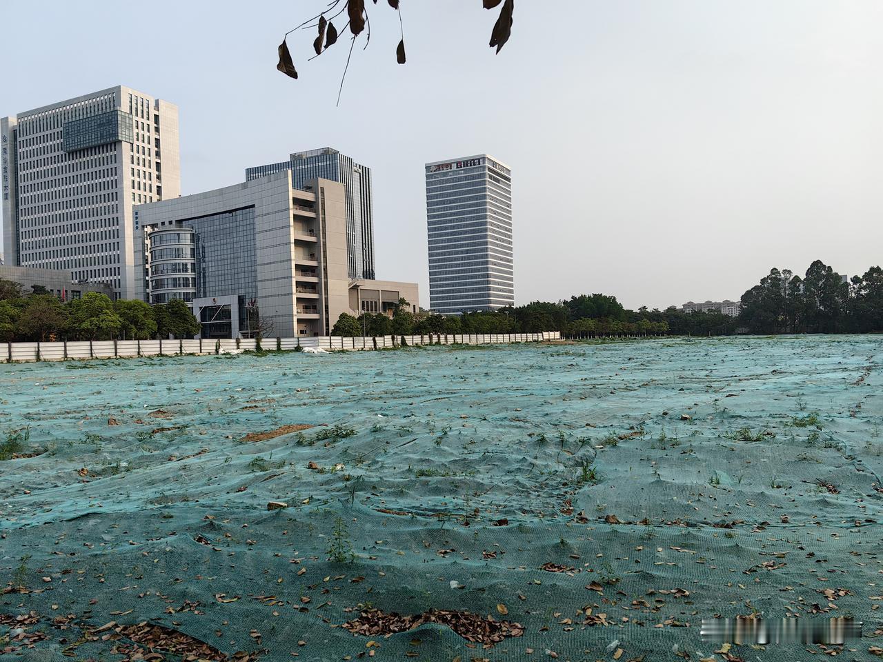 南沙蕉门河中心区新增了一大片绿地，很好！

在市民广场北边，图书馆的东边，环市大