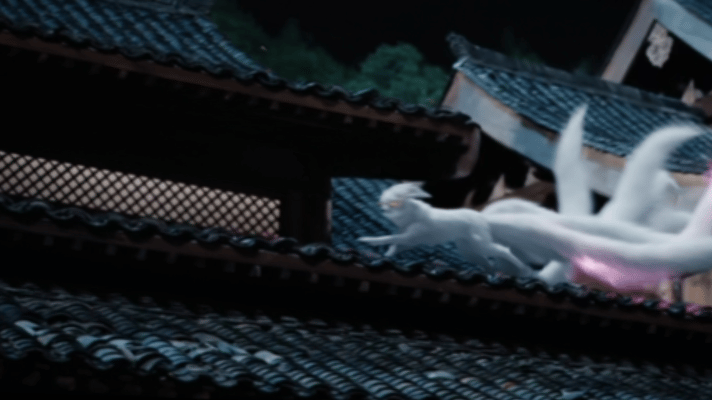 月鳞绮纪双狐神级镜头 这双狐镜头简直是视觉盛宴啊！两只狐灵动又妩媚，一个眼神、一