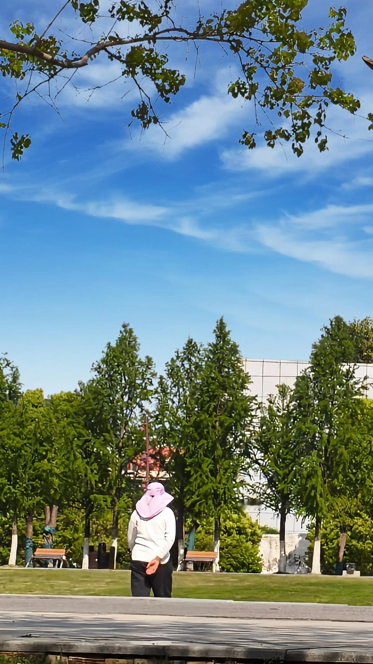 营养不良确实是一个因素，像牙齿缺失、消化功能减退的老人，长期蛋白质或铁元素摄入不