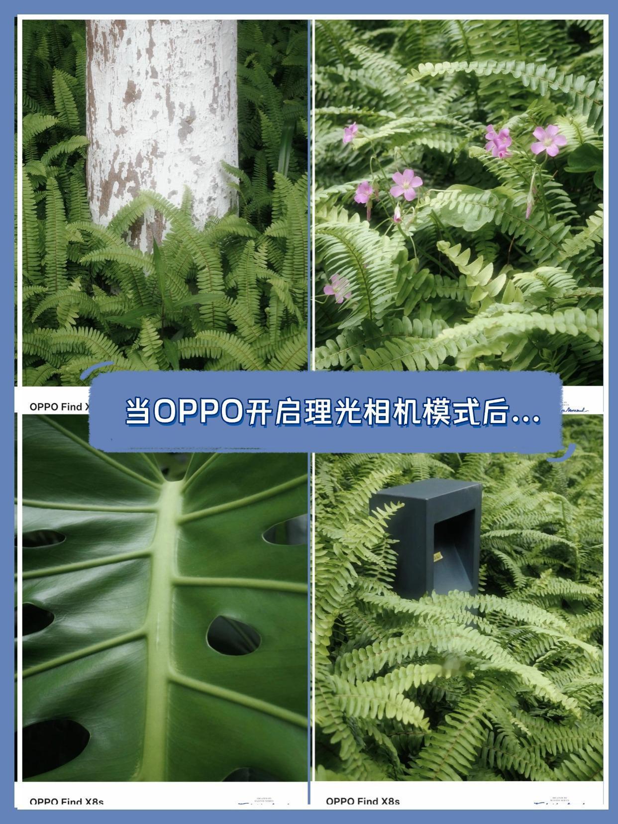 绝！当OPPO开启理光相机模式后...
OPPO你糊涂啊，这么好用的功能居然不力