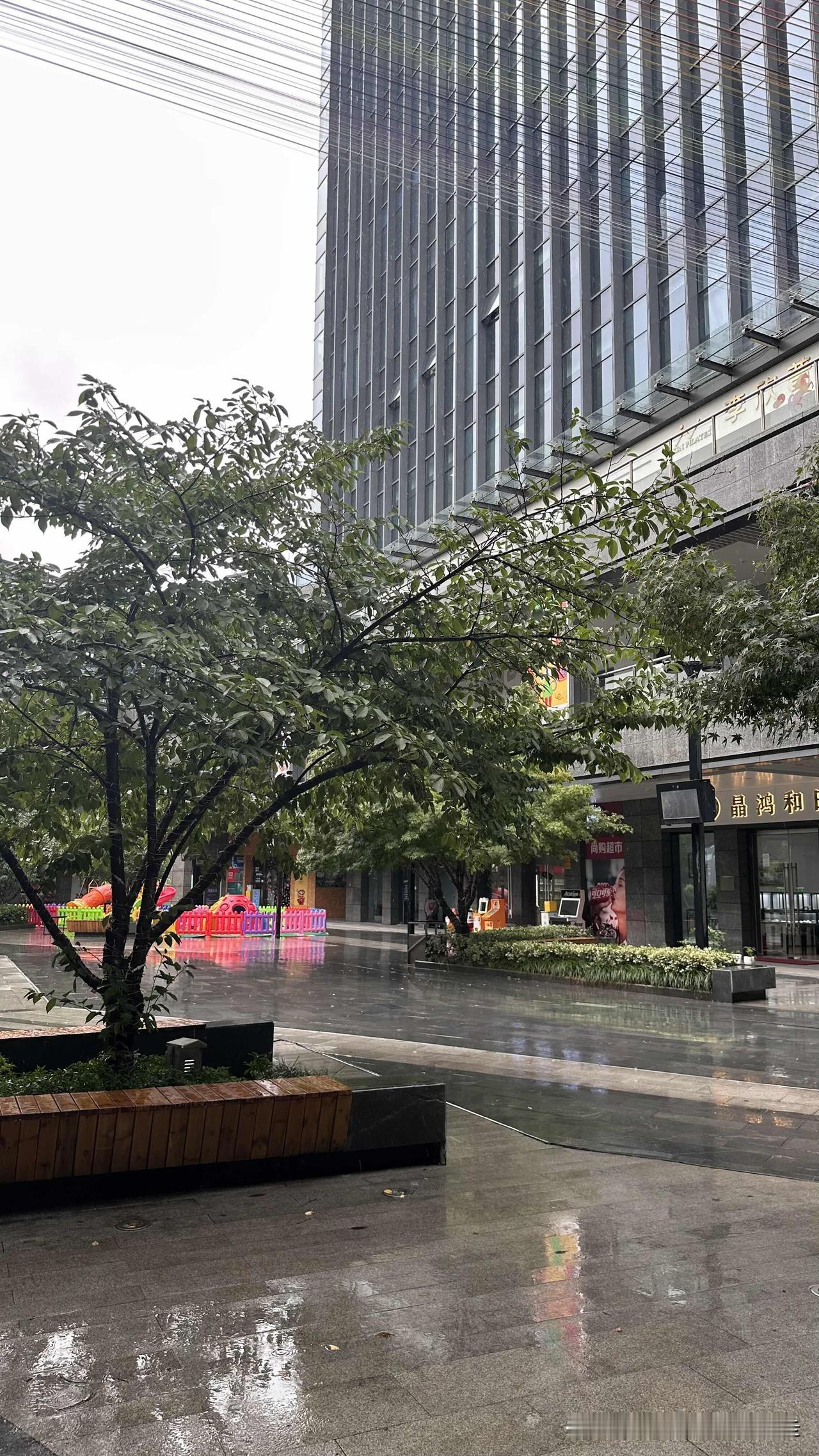 台北人在苏州，不平静的一上午。早上刚8点一到，天花板就传来轰隆隆地电钻穿墙凿地的