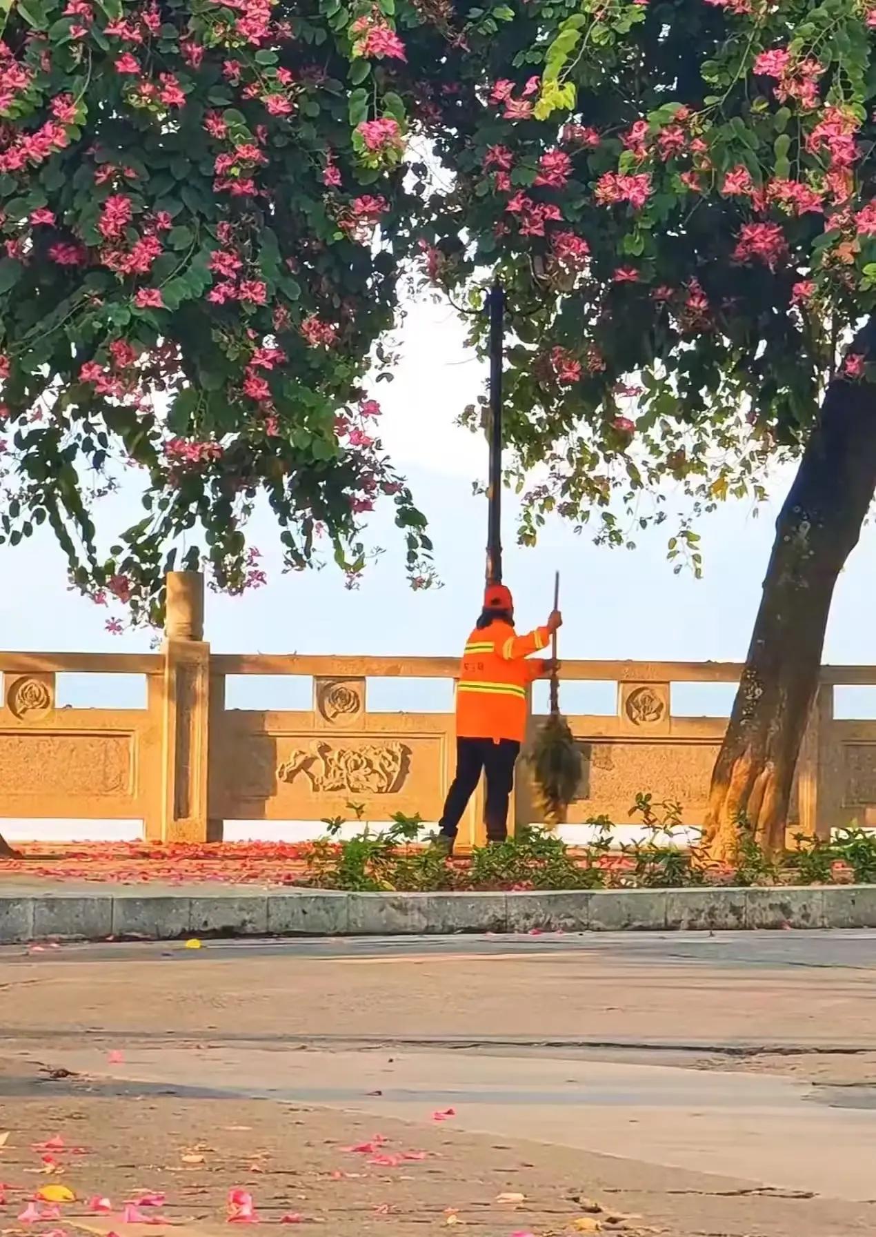 山东一环卫工大姐清晨扫街，竟意外救下一条鲜活生命，究竟发生了什么？
清晨，山东的