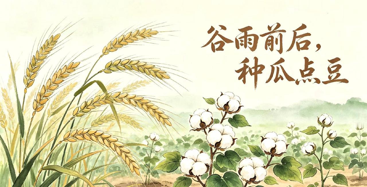 提前通知！
大家好有个心理建设，
4月20号当天9点38分就正式交接谷雨节气了