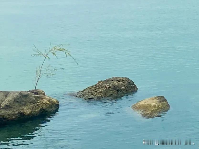 #一张图分享秋日风光#
坐湖观秋水，天人两相通。
风移云也动，泊舟烟雨中。