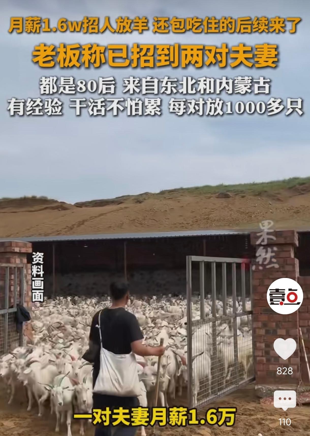 这条消息看起来是关于一则招聘信息的后续报道：

之前有一则“月薪1.6万招人放羊