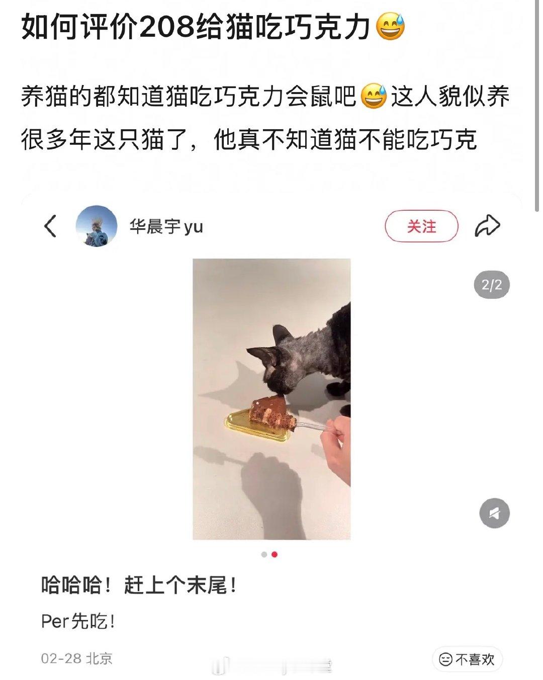 华晨宇喂猫吃巧克力蛋糕华晨宇给猫吃巧克力被质疑 华晨宇喂猫吃巧克力蛋糕，晨宇其实
