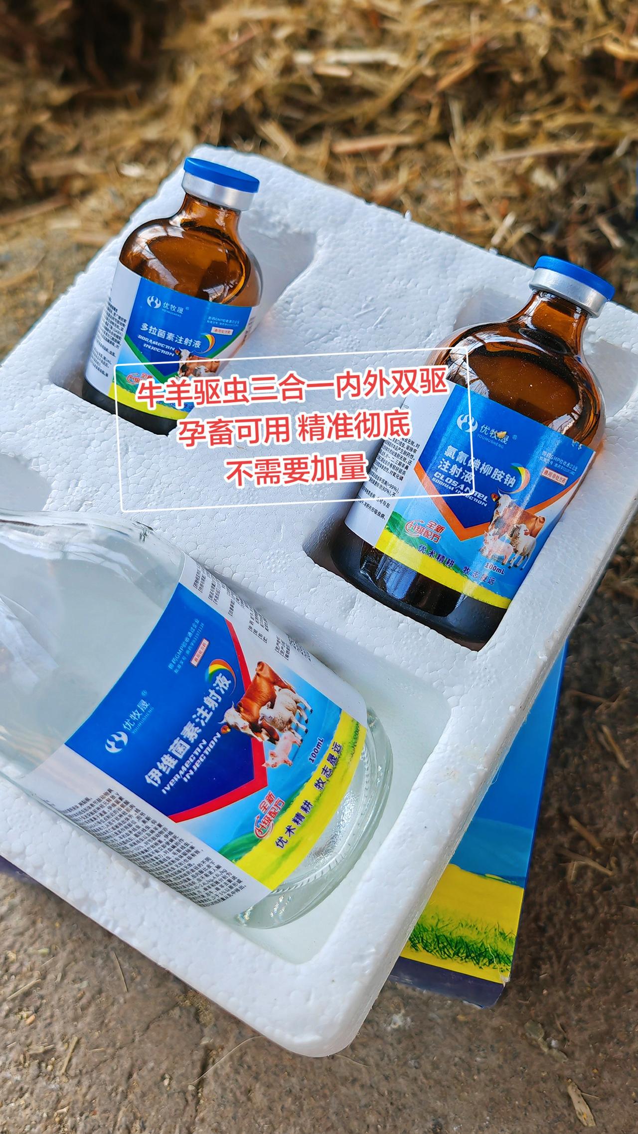 养羊人 农村养羊 牛羊养殖