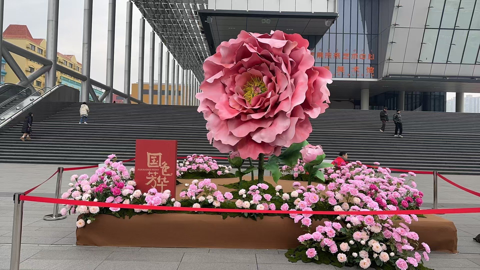 国色芳华开播直播   国色芳华播出排面  杨紫等主演现身芒果台，为《国色芳华》开