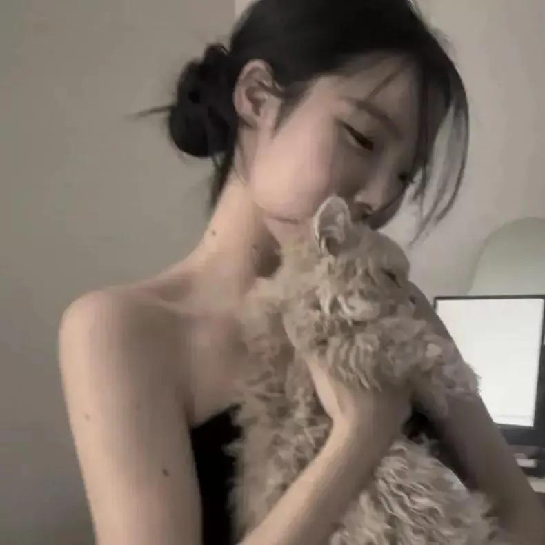 温柔拥抱，宠爱小羊驼💕