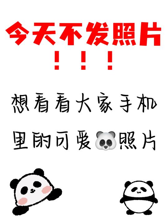 可以看看大家手中🐼的照片嘛