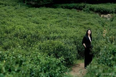 高智感穿搭是姚晨的统治区 乔杨医生穿搭余热未减，姚晨新造型再创新高！黑西装老钱范