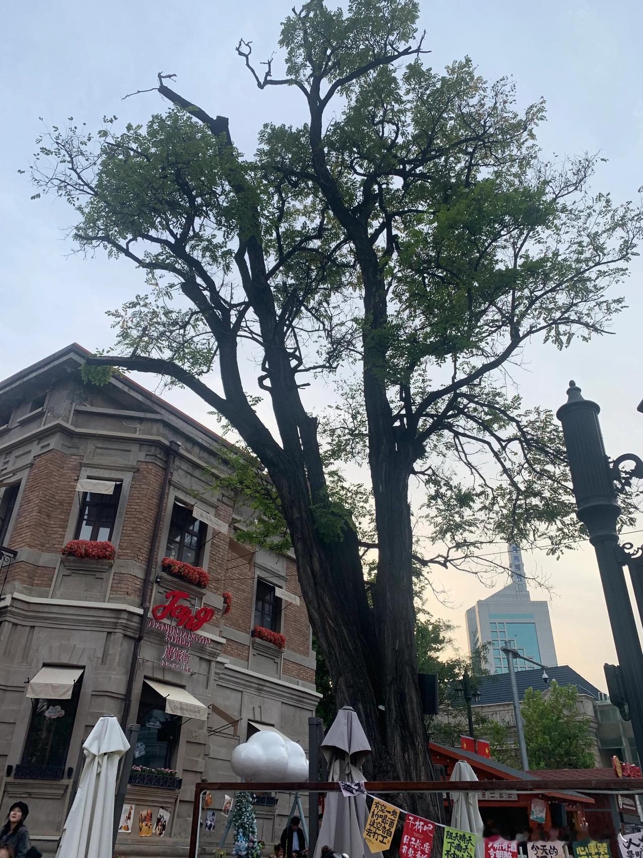 分享一下国庆假期游天津“意大利风情街拍”的照片：