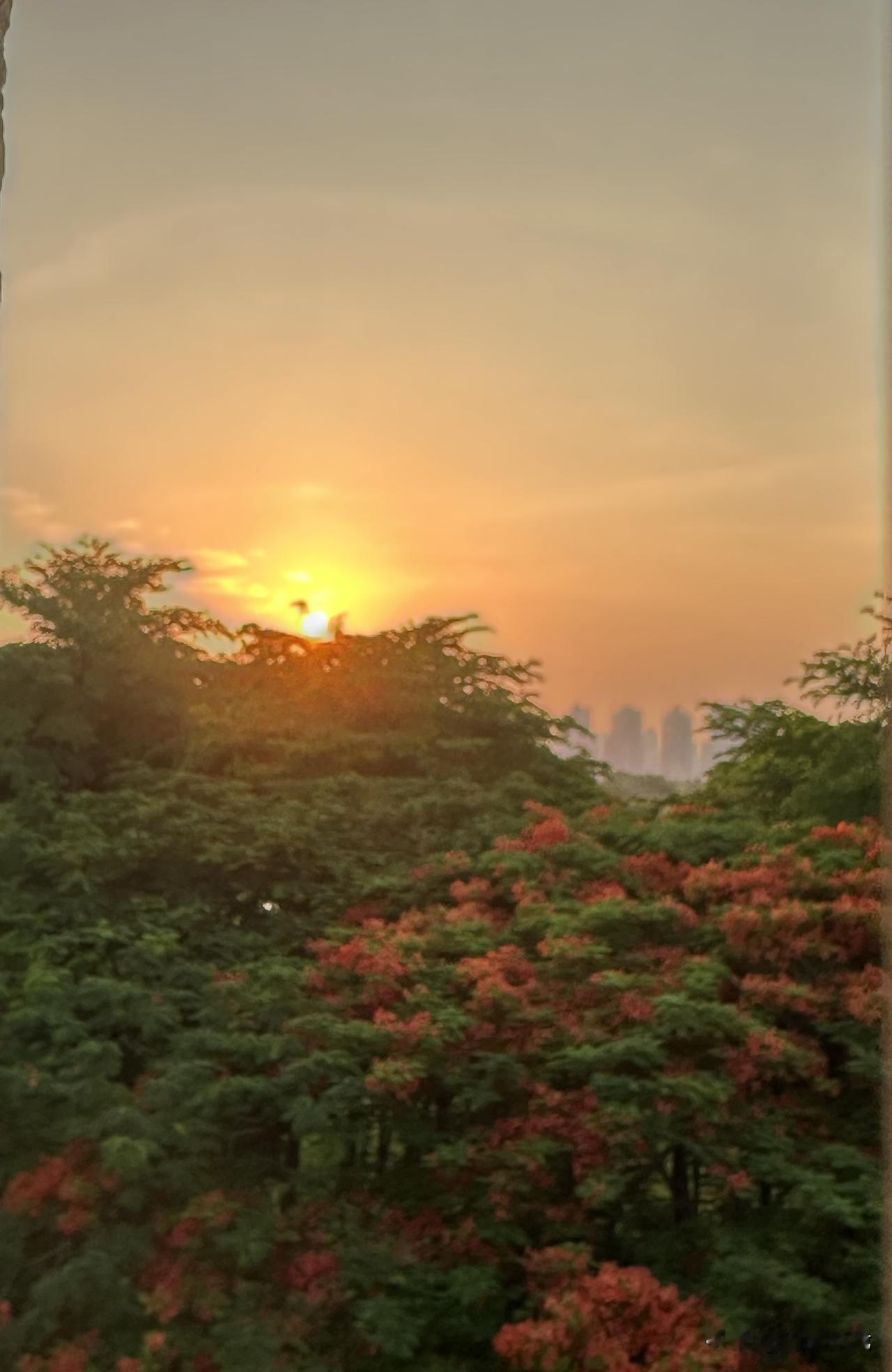 随手拍下初夏美景