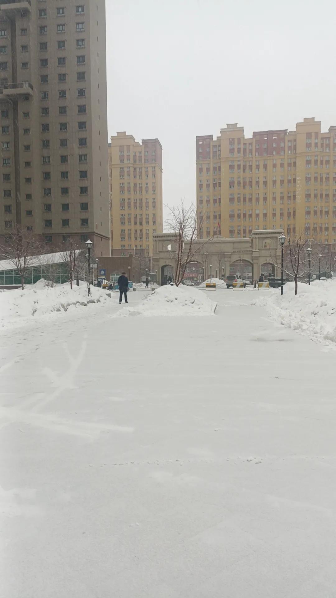 又下雪了，雪本应该是冬的妻子，却与春牵手，成了春的情人，你说，是雪的背叛，还是春