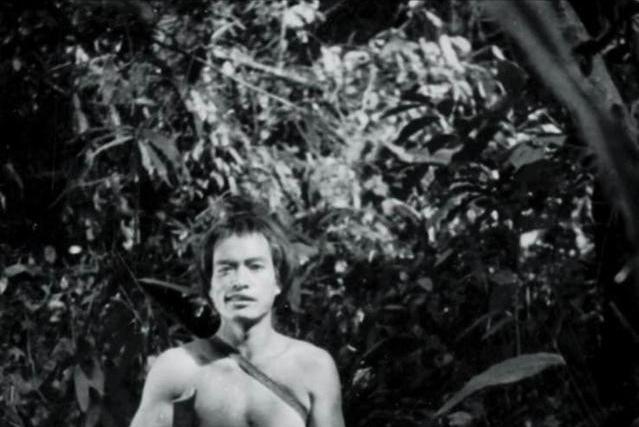 1956年，云南的深山中，发现了一群生活在原始状态下的“隐士”。这些人衣衫褴褛，