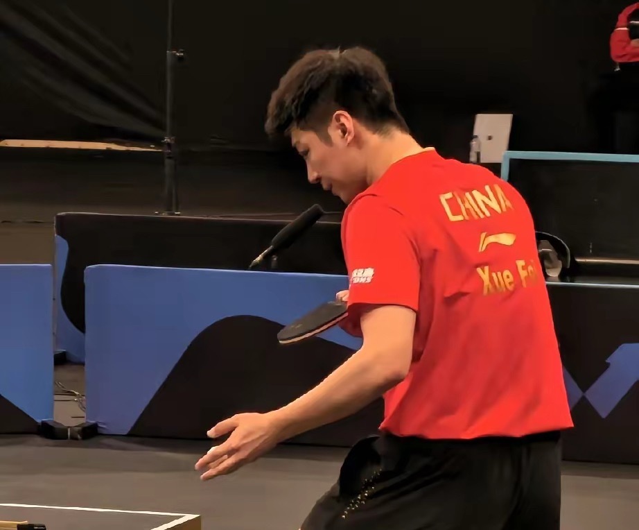 洛杉矶奥运周期，以下三位球员已不在男乒重点培养对象之列一、薛飞二、袁励岑三、徐瑛