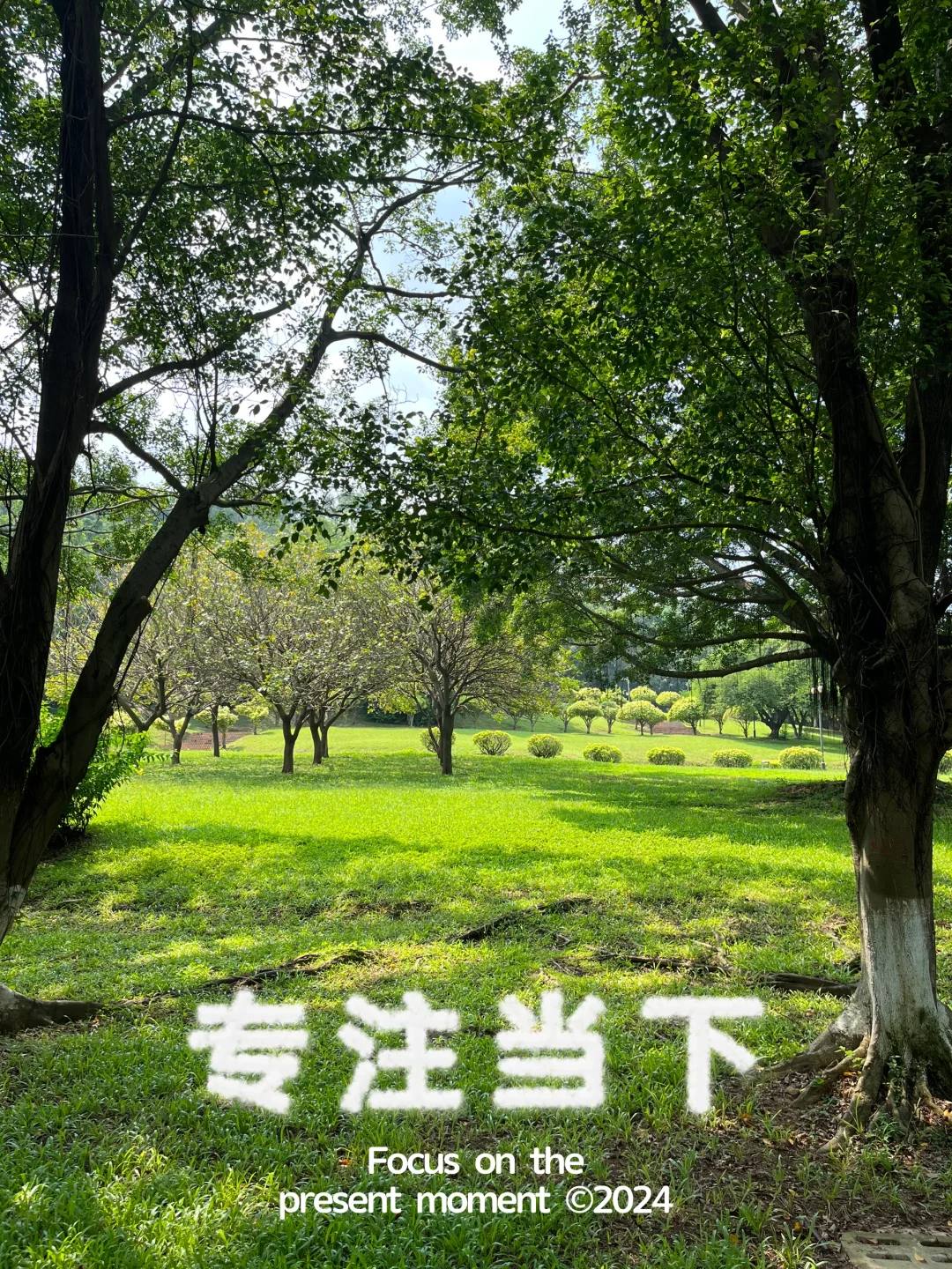 专注当下💫疗愈正在悄然发生~