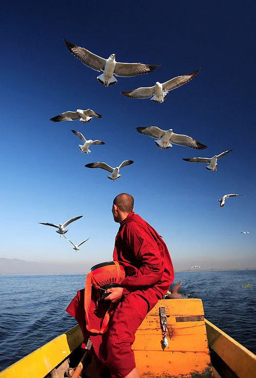 生活当中有一些烦恼不要太挂在自己的心上。因为生活当中的烦恼犹如大海的波涛一样，因